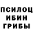 Галлюциногенные грибы мухоморы Nina Rysskih