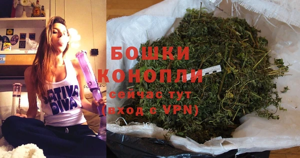 винт Елизово