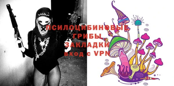 apvp Елабуга